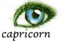 capricorn