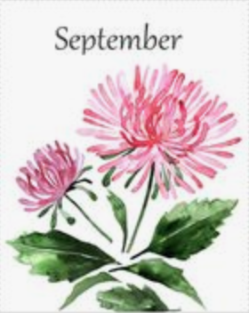 Virgo