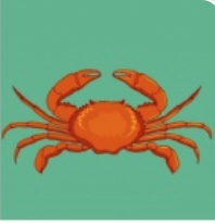 Cancer