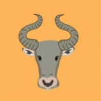 Taurus