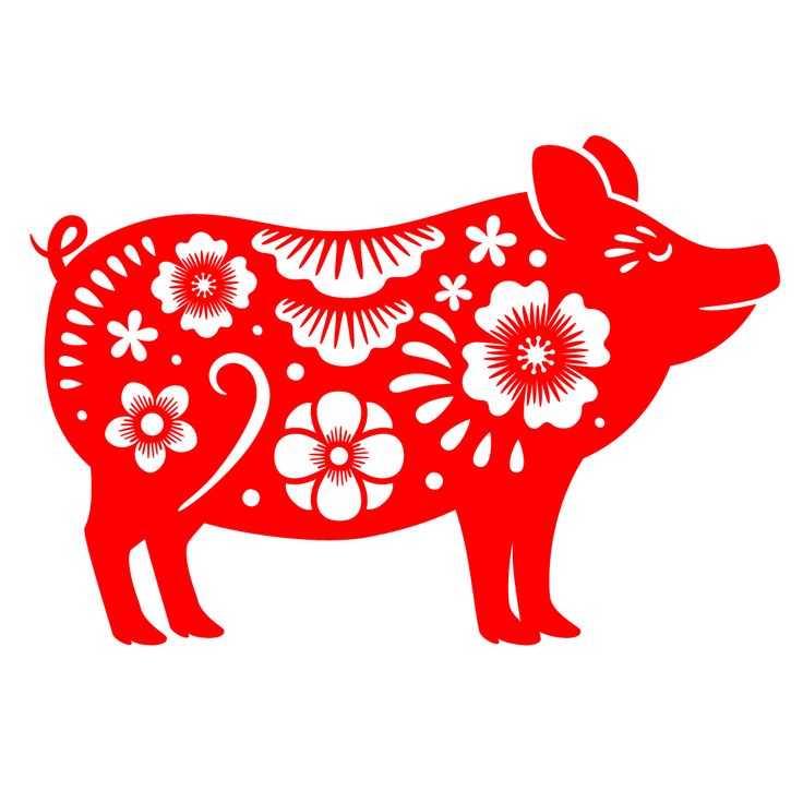 Pig forecast for Year of the Wood Snake 2025