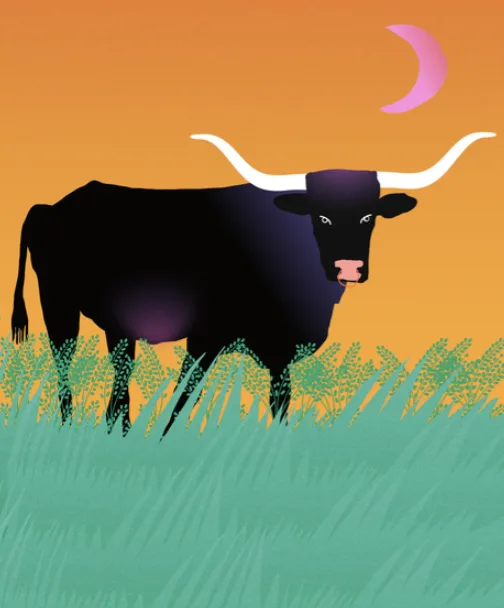 2026 Tarotscopes for Taurus